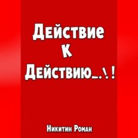Роман Никитин. Действие к действию