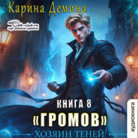 Карина Демина. Громов: Хозяин теней – 8
