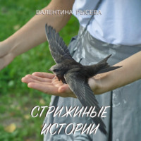 Валентина Рысева. Стрижиные истории