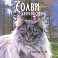. Солви – серебро Севера