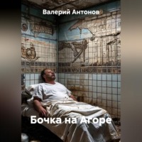 Валерий Антонов. Бочка на Агоре