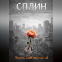 . Сплин