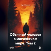 Сергей Борисов. Обычный человек в магическом мире, том 2