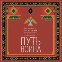 Ингвар ван Синх. Путь воина. Вся мудрость Кастанеды в одной книге