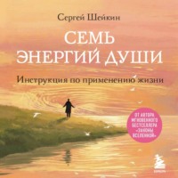 Сергей Шейкин. Семь энергий души. Инструкция по применению жизни
