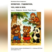 Шалабаева Елена. Книга 2 - Февраль. Китай.