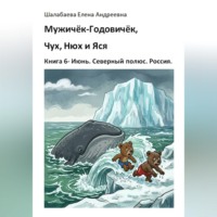 Шалабаева Елена. Книга 6 - Июнь. Северный полюс. Россия.