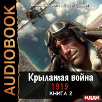 Сергей Савинов. Крылатая война. 1915. Книга 2