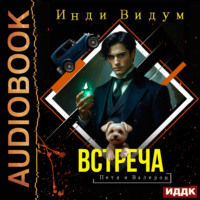 Инди Видум. Петя и Валерон. Книга 7. Встреча