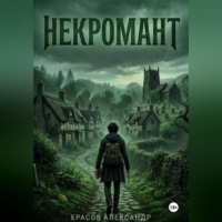Александр Ерасов. Некромант