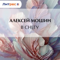 Алексей Мошин. В снегу