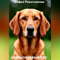 . Апельсиновый пёс