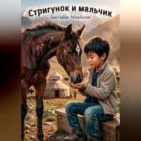 Бактыбек Мамбетов. Стригунок и мальчик