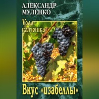 Александр Муленко. Вкус «изабеллы»