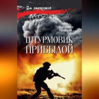 Владимир Дмитриевич Пронский. Штурмовик Прибылой