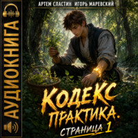 Игорь Игоревич Маревский. Кодекс Практика. Страница 1