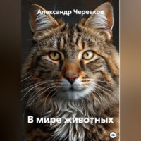 . В мире животных