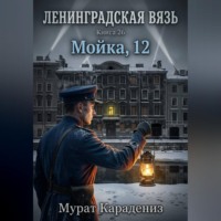 Мурат Карадениз. Мойка, 12