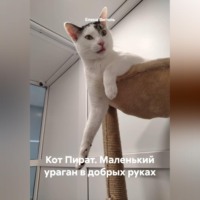 Елена Витоль. Кот Пират: Маленький ураган в добрых руках