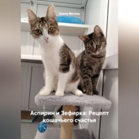 Елена Витоль. Аспирин и Зефирка: Рецепт кошачьего счастья