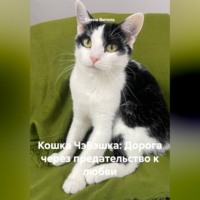 Елена Витоль. Кошка ЧэБэшка: Дорога через предательство к любви