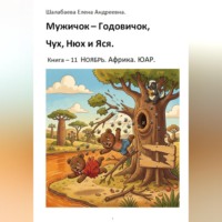 Шалабаева Елена. Книга 11. Ноябрь. Африка. ЮАР