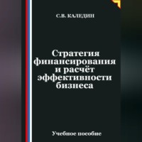 Сергей Каледин. Стратегия финансирования и расчёт эффективности бизнеса