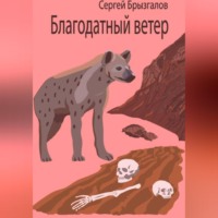 Сергей Владимирович Брызгалов. Благодатный ветер