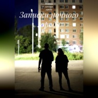  Путник ночного города. Записки ночного города