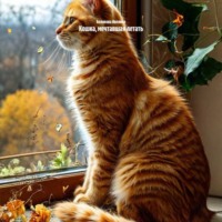 Белякова Ивелина. Кошка, мечтавшая летать