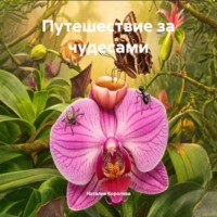Наталия Королева. Путешествие за чудесами