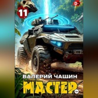 Валерий Чащин. Мастер 11
