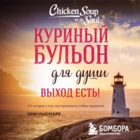 Джек Кэнфилд. Куриный бульон для души. Выход есть! 101 история о том, как преодолеть любые трудности