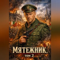 Геннадий Борчанинов. Мятежник, том 2