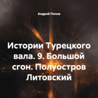 Андрей Васильевич Попов. Истории Турецкого вала. 9. Большой сгон. Полуостров Литовский