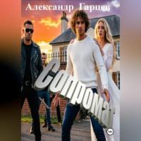 Александр Гарцев. Сопромат