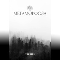 Артём Хамзаев. Метаморфоза