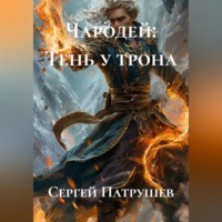 Сергей Патрушев. Чародей: Тень у трона