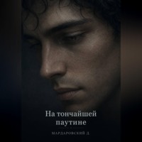Дмитрий Мардаровский. На тончайшей паутине