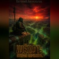 Евгений Анпилогов. ШЁПОТ: СТИРАЯ ПЕРИМЕТР.