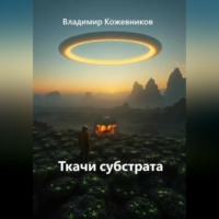 Владимир Кожевников. Ткачи субстрата