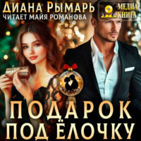 Диана Рымарь. Подарок под елочку