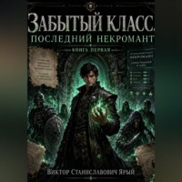 Виктор Ярый. ЗАБЫТЫЙ КЛАСС. ПОСЛЕДНИЙ НЕКРОМАНТ
