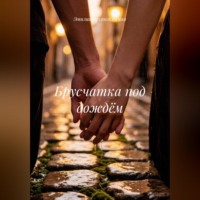 Эмилия Архангельская. Брусчатка под дождём