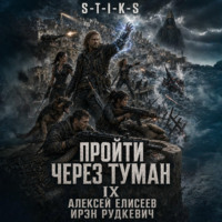 Ирэн Рудкевич. S-T-I-K-S. Пройти через туман IX. Континент