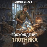 Антон Панарин. Восхождение Плотника. Том 5