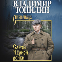 Владимир Топилин. Слёзы чёрной речки