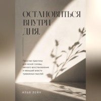 Илья Лейн. Остановиться внутри дня. Простая практика для ясной головы, мягкого восстановления и меньшей власти тревожных мыслей