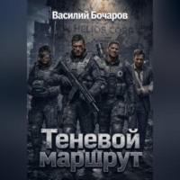 Василий Бочаров. Теневой маршрут