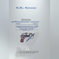 Александр Кичигин. Дневник провинциального сыщика